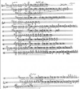 Transcription No.8